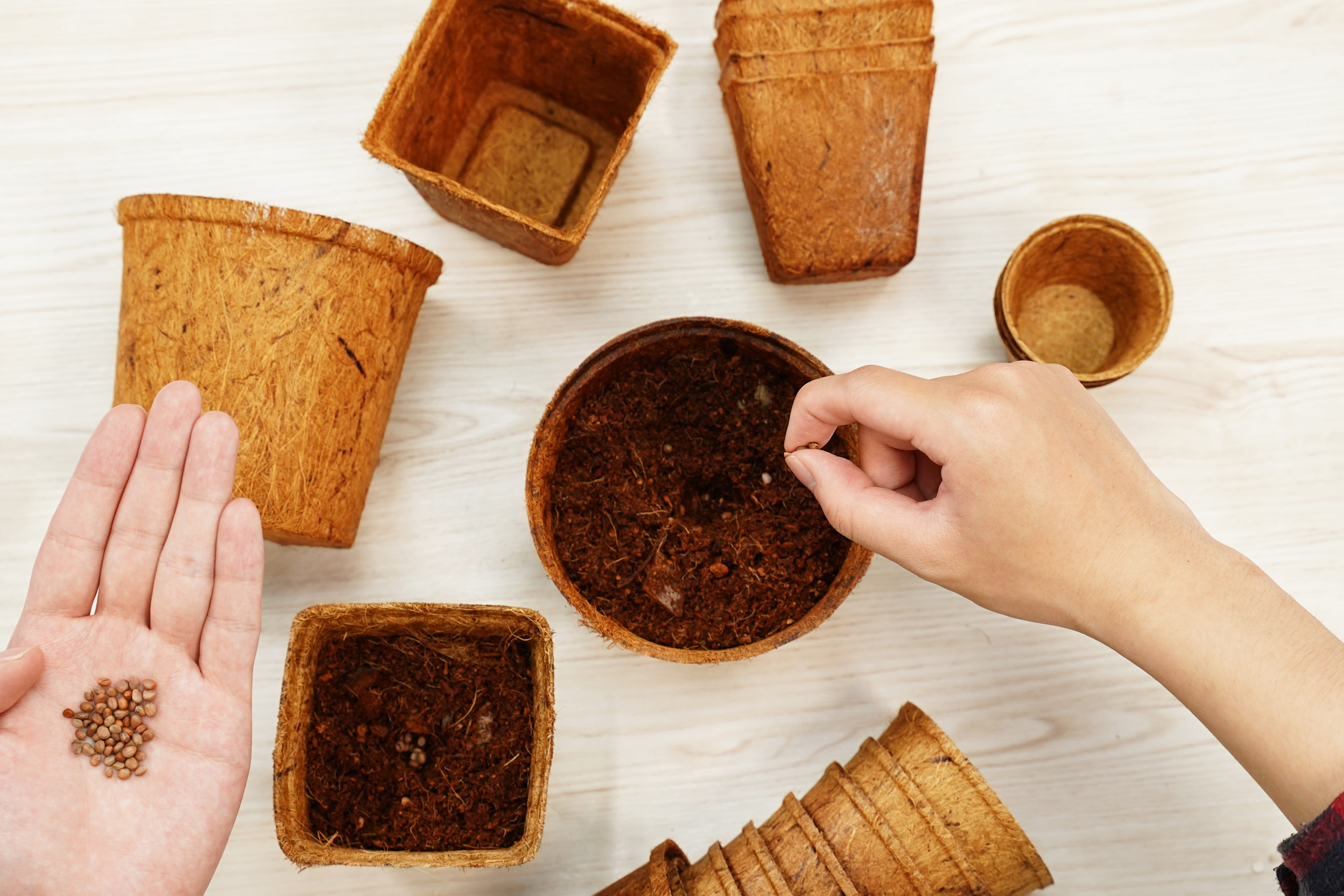 4” Tall Round Coir Pot