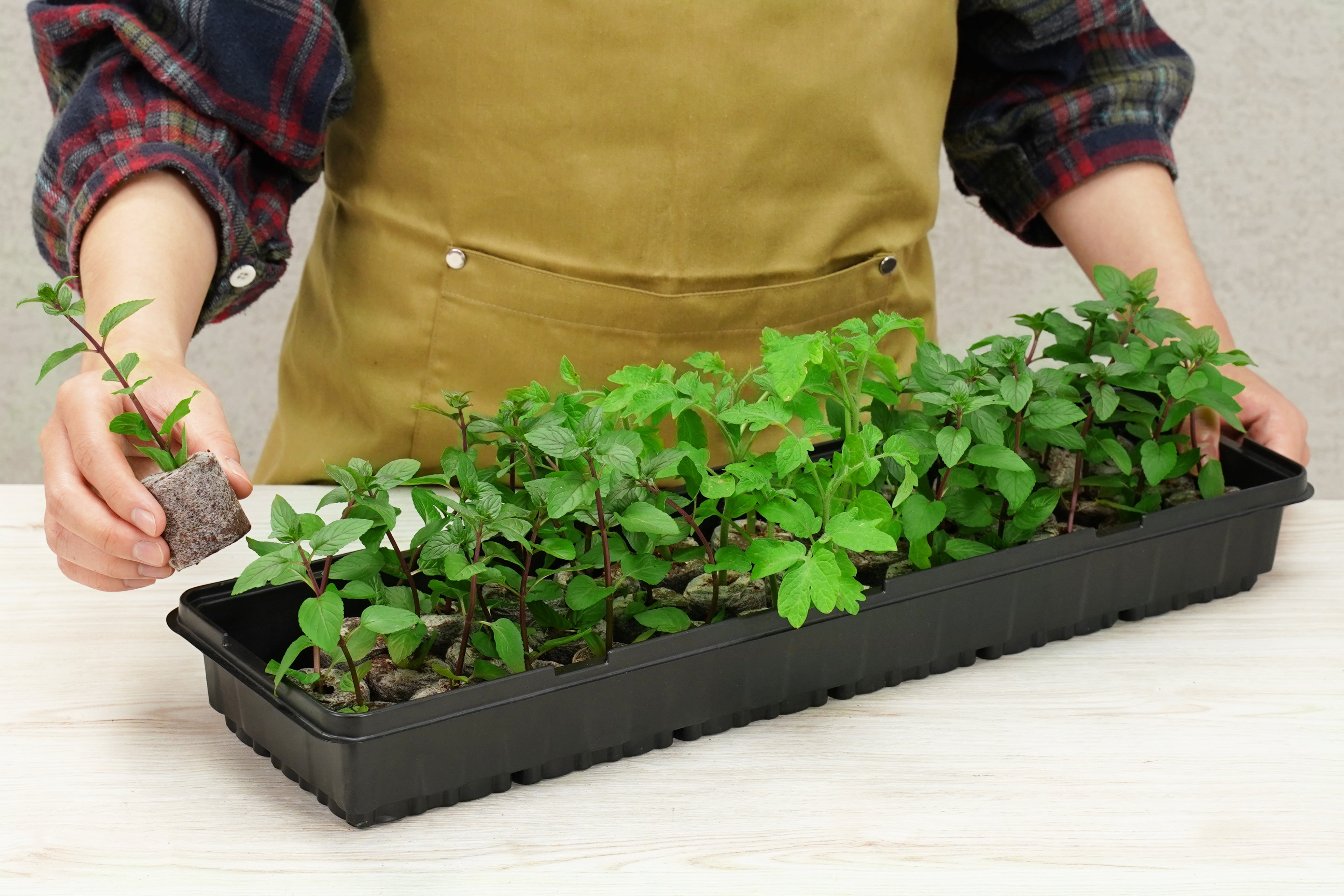36 x 35mm Pellet Greenhouse Kit