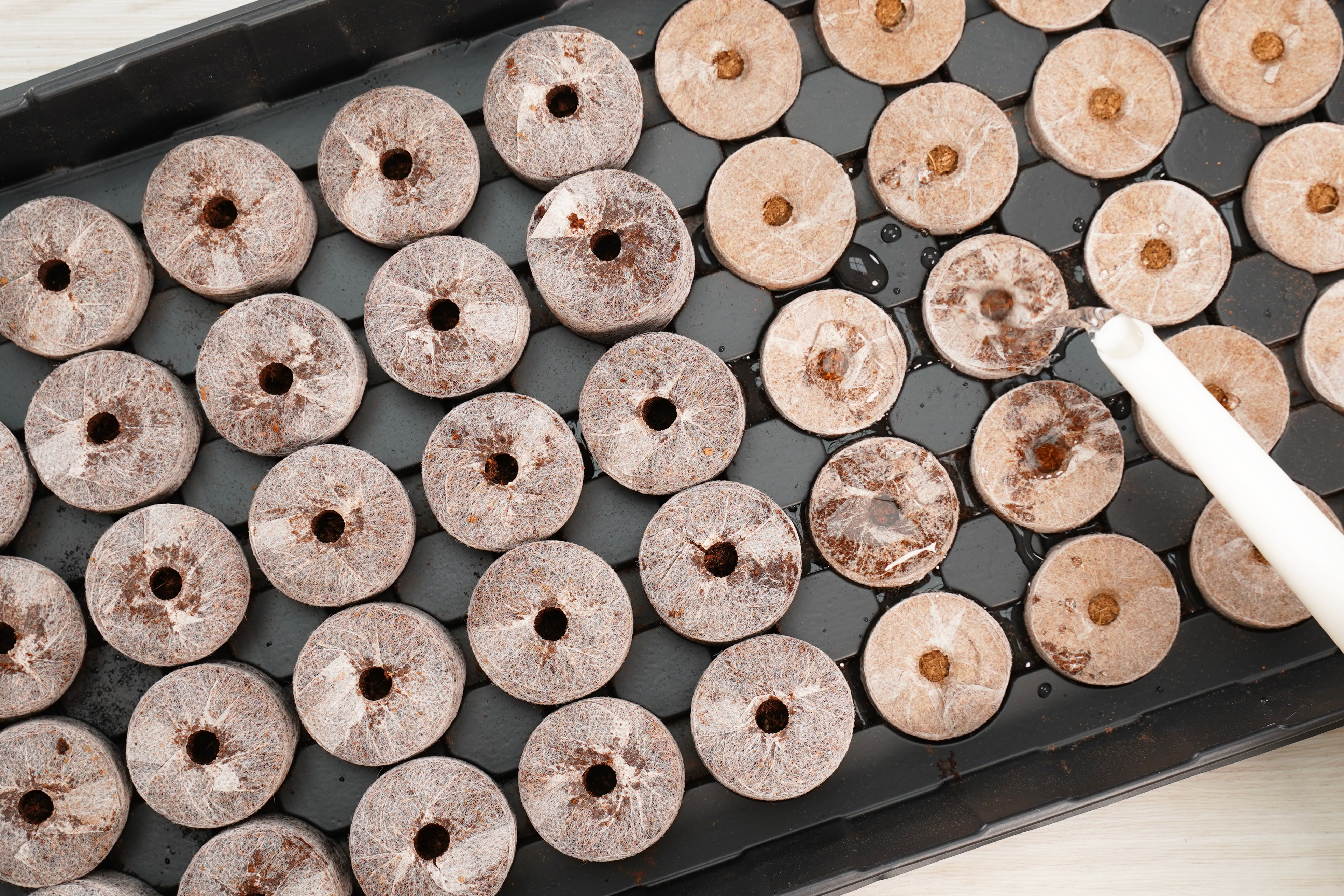 50 x 42mm Pellet Greenhouse Kit