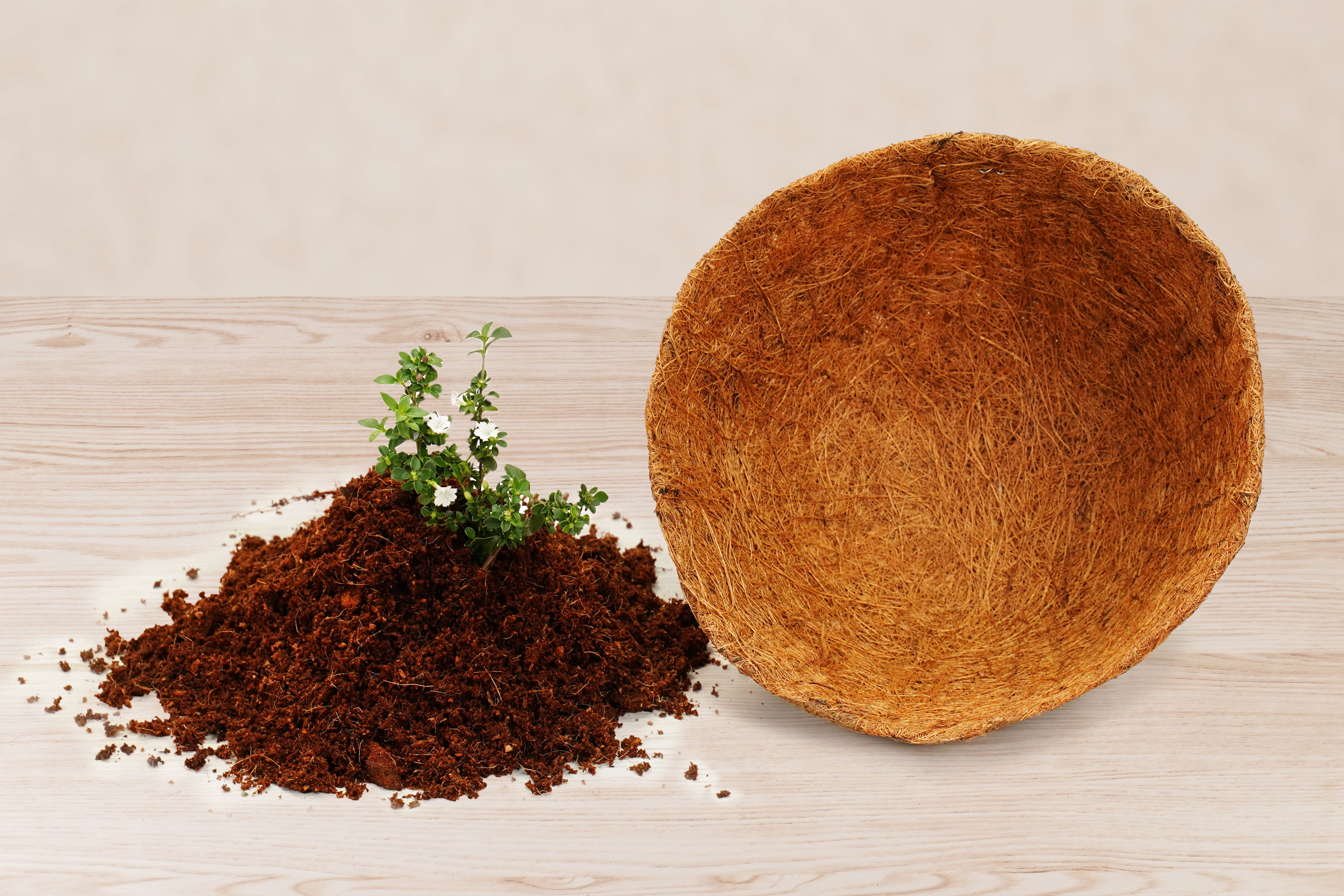 16"/40cm Coconut Coir Liner
