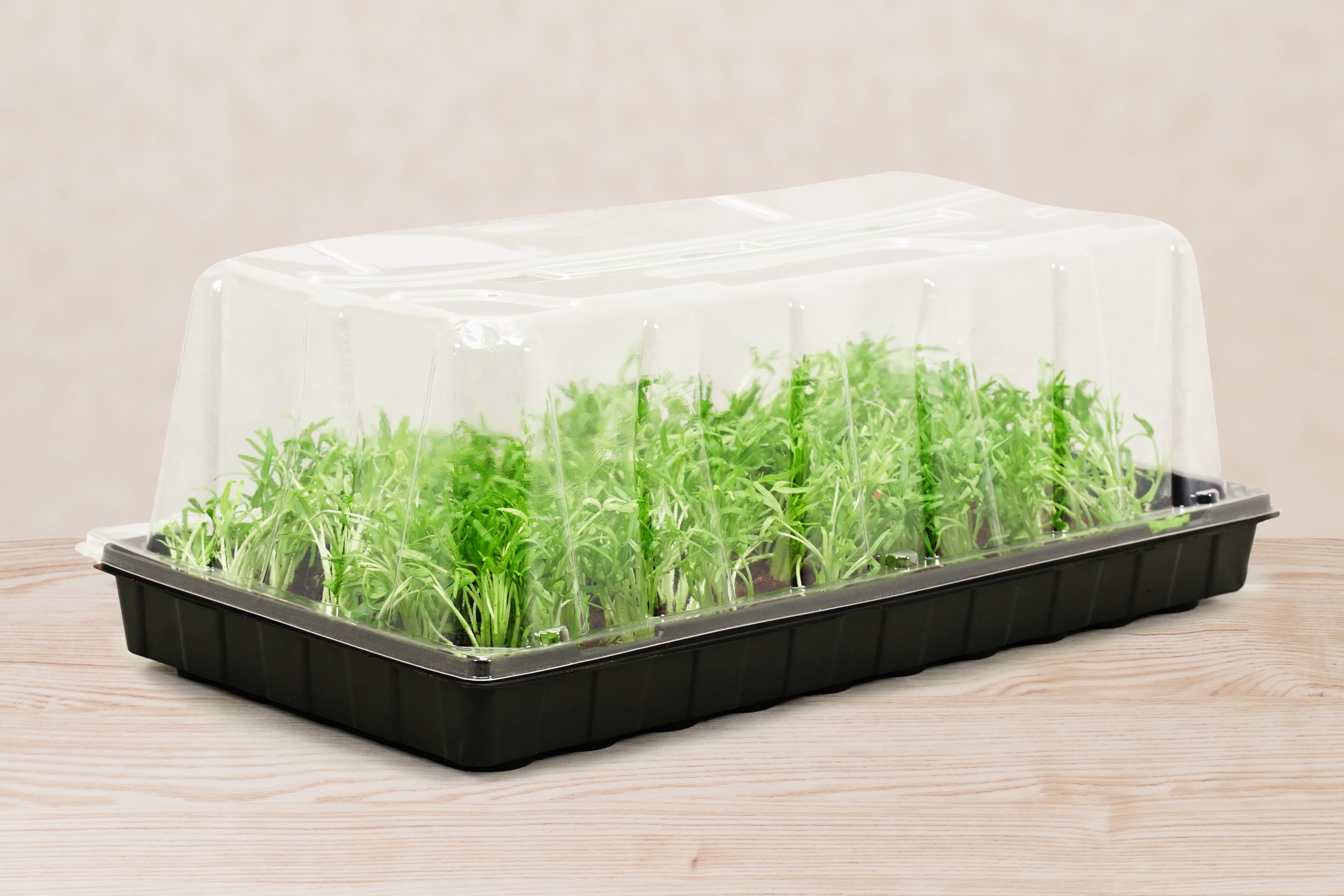 10”x20” Black Greenhouse Tray with UPC