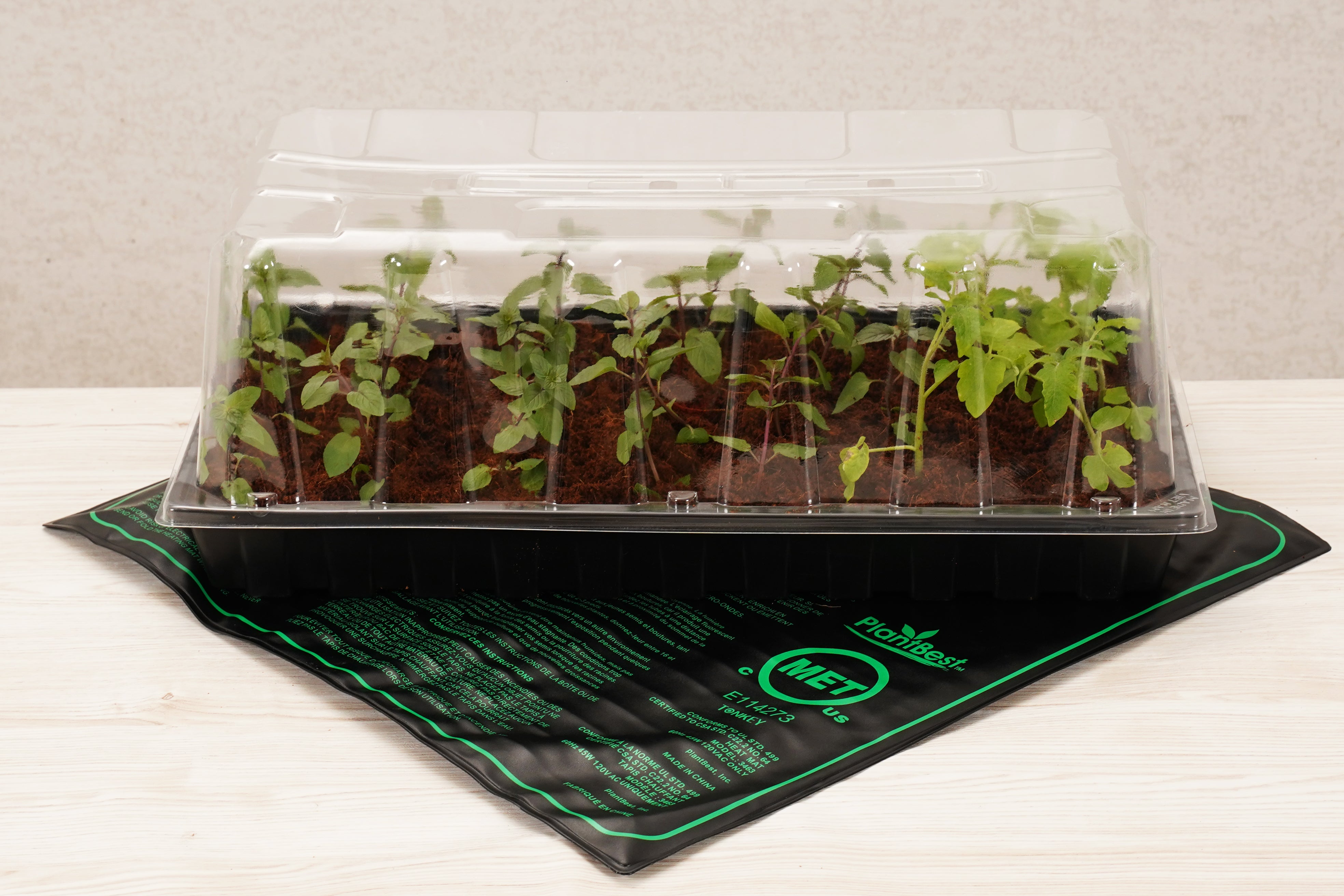 10”x20” Black Greenhouse Tray with UPC