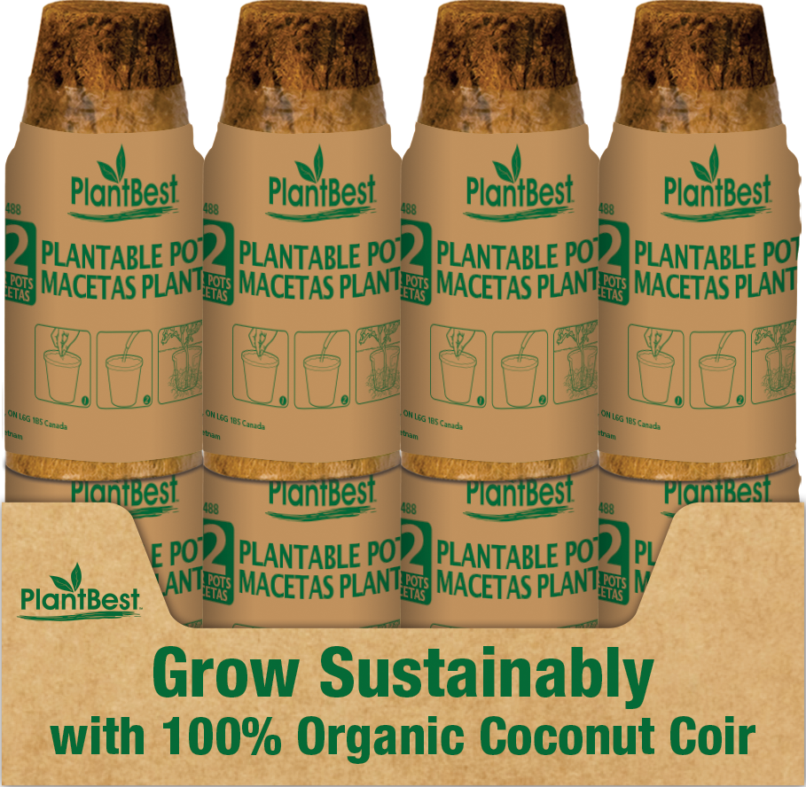 2.50" Round Coconut Coir Pot - 12 Pack