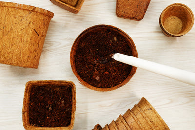 4” Tall Round Coir Pot