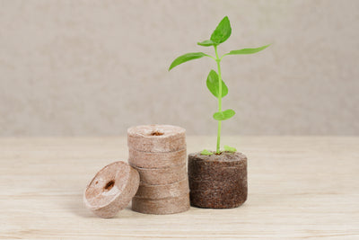 36 x 35mm Growing Pellet Refill Pack