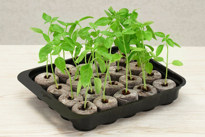 20 x 42mm Pellet Greenhouse Kit