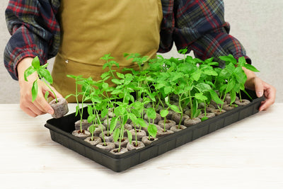 50 x 42mm Pellet Greenhouse Kit