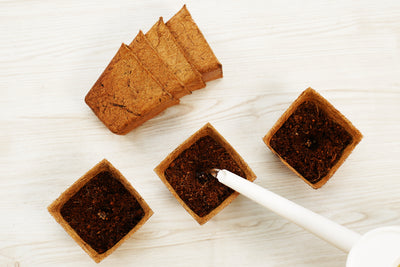 3.00" Square Coconut Coir Pot – 8 Pack