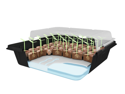 Premium 35 Pellet Self-Watering Greenhouse Kit