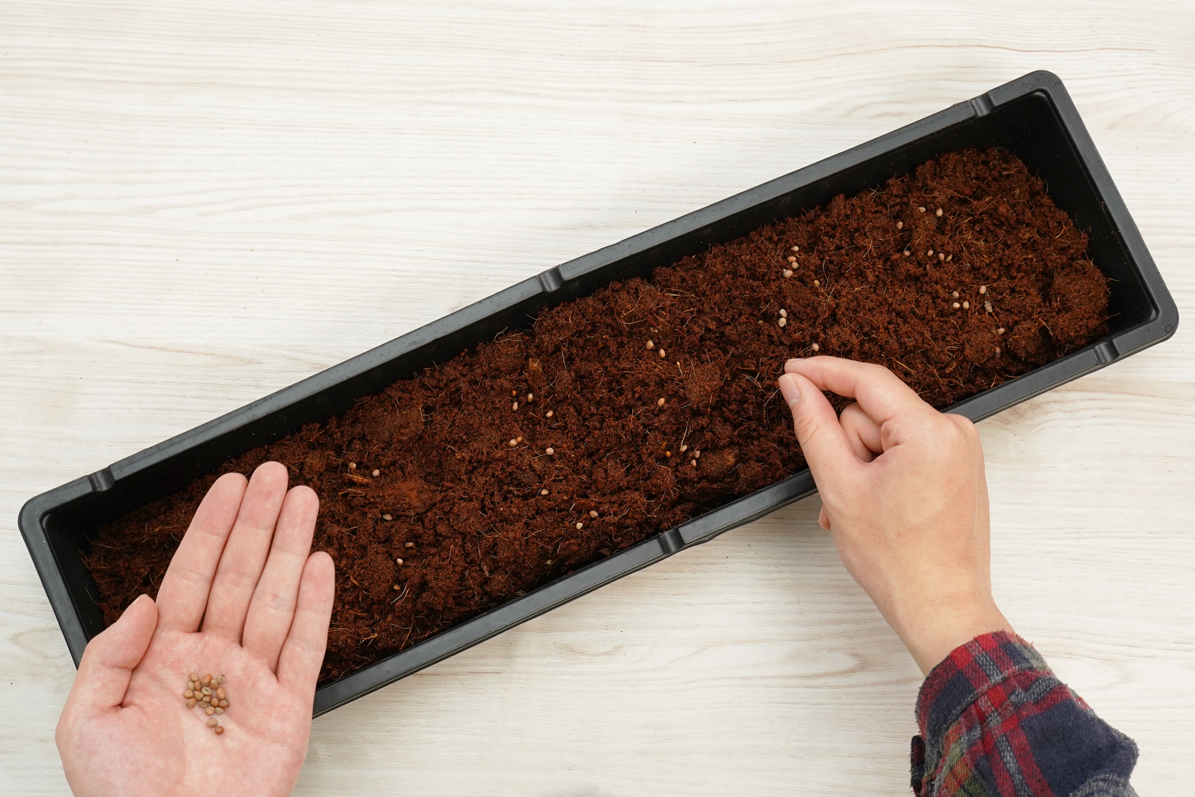 5”x20” Greenhouse Tray with UPC