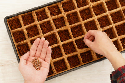 50 Pot Coconut Coir Pot Greenhouse Kit