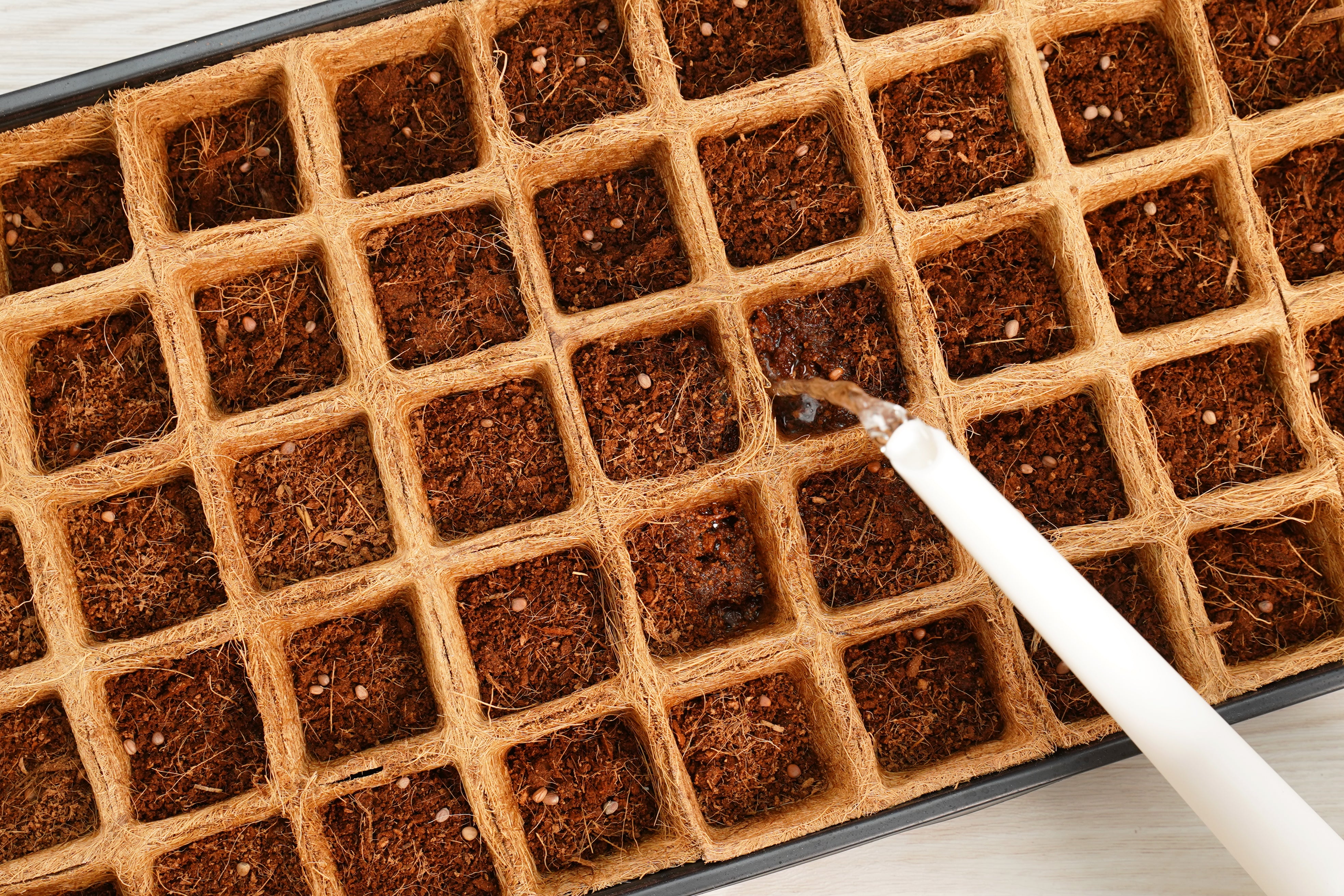 50 Pot Coconut Coir Pot Greenhouse Kit