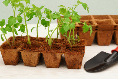 32 Pot Coconut Coir Pot Refill (2.5")