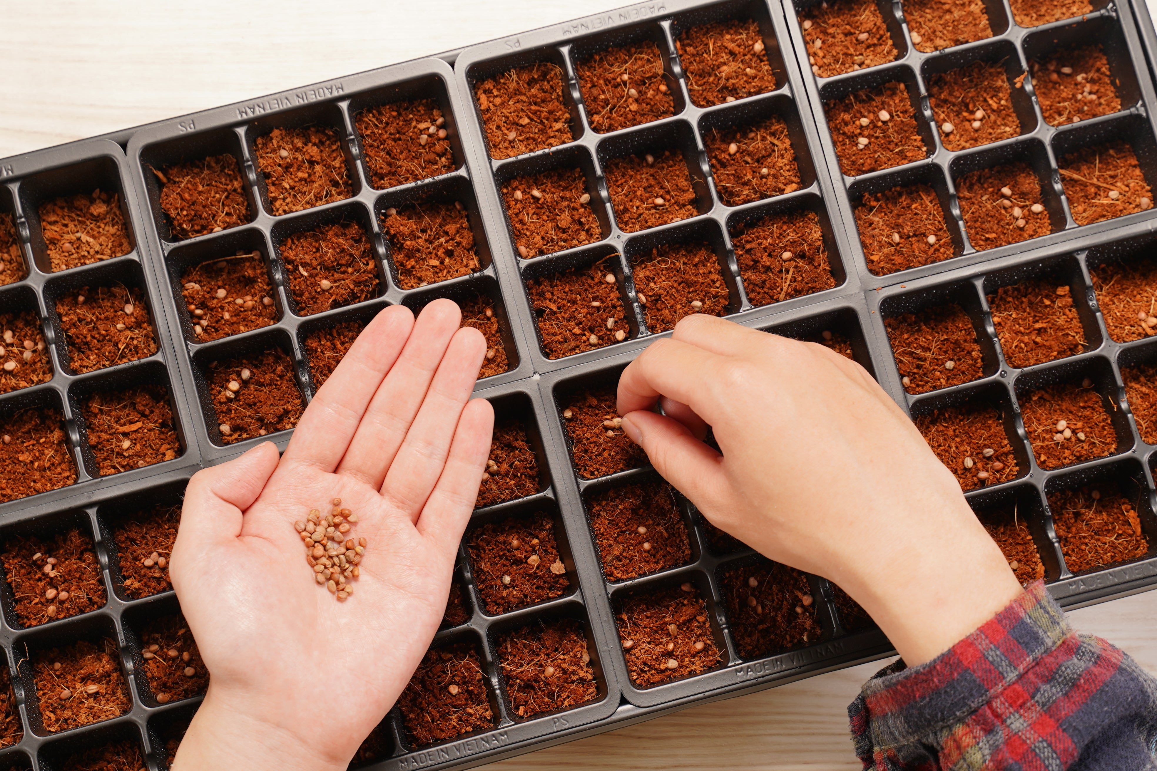 Premium 72 Cell Greenhouse Kit with Coconut Coir Growing Mix