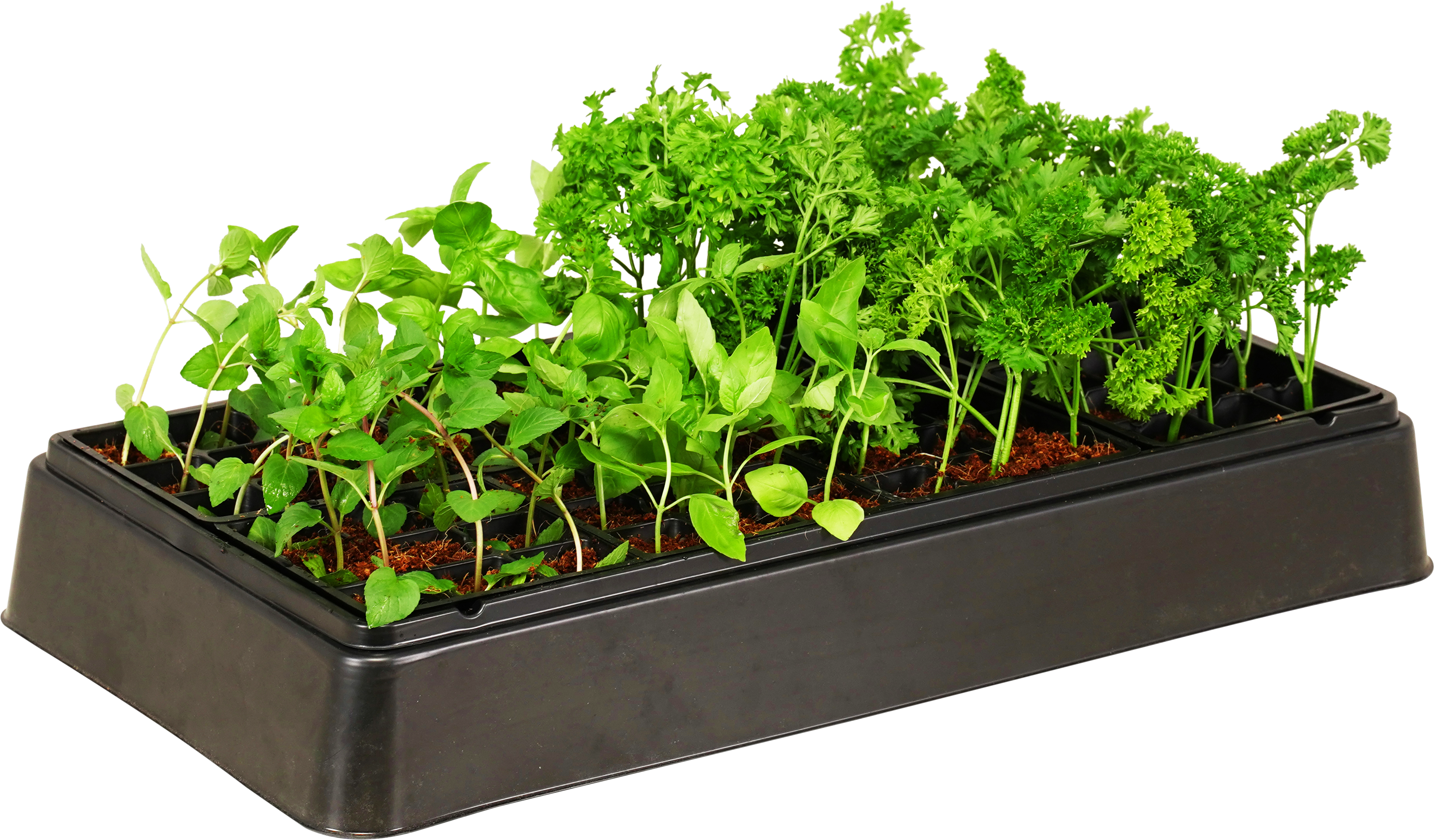 Heated Greenhouse Kit