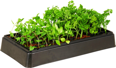 Heated Greenhouse Kit