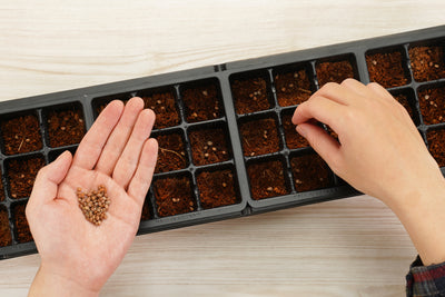 36 Cell Greenhouse Kit
