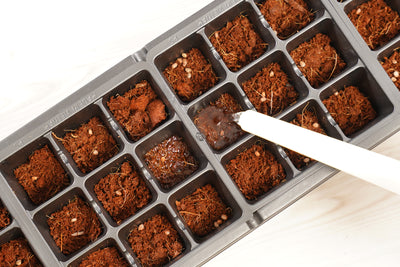 36 Cell Greenhouse Kit