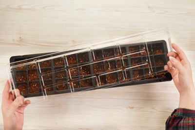 36 Cell Greenhouse Kit