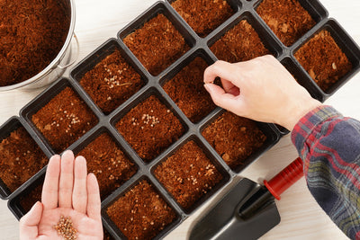 18 Pot Transplant Kit