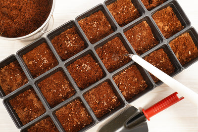 18 Pot Transplant Kit
