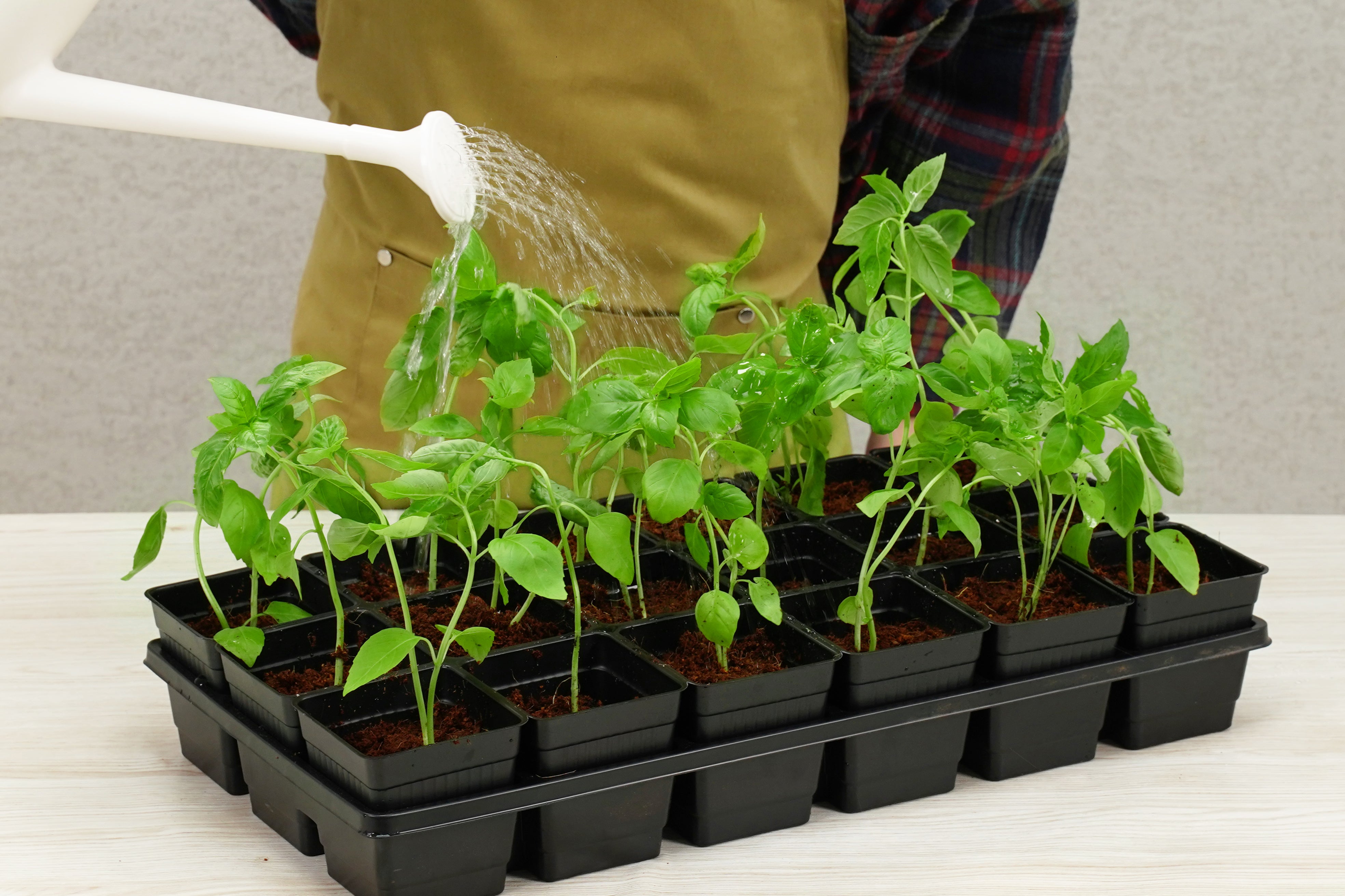 18 Pot Transplant Kit