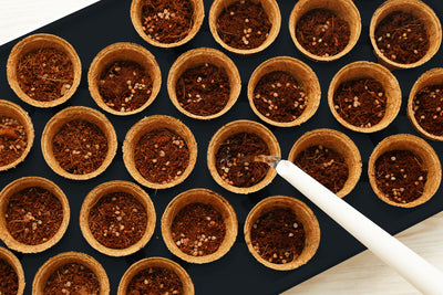 28 Coir Pot Self Watering System Kit