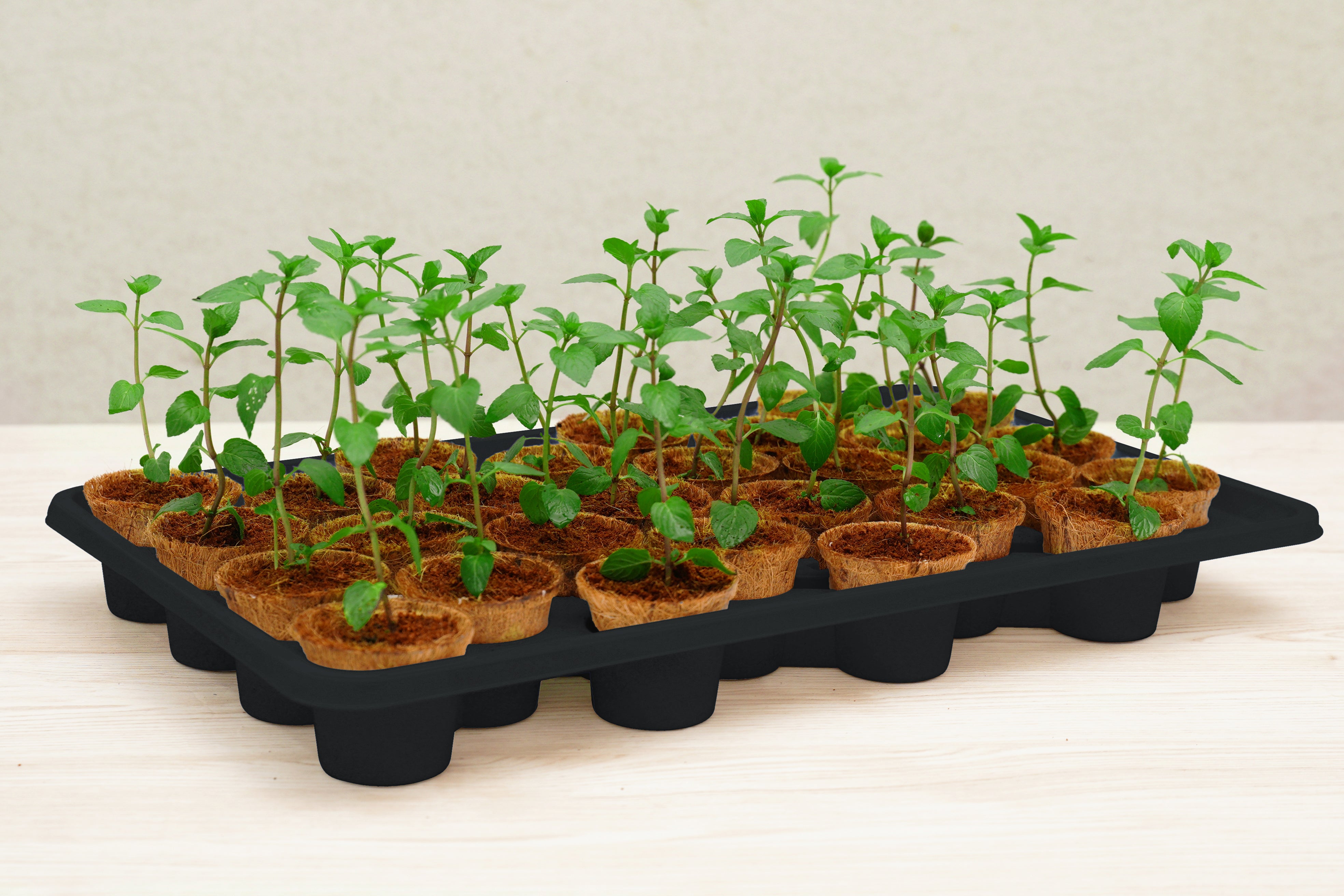 28 Coir Pot Self Watering System Kit