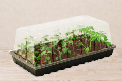 11”x21” Vented High Dome with UPC