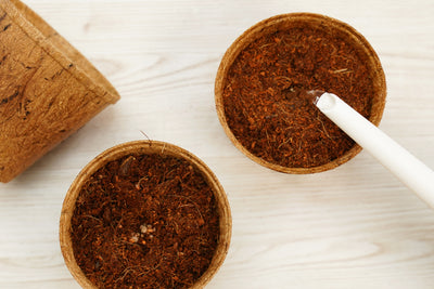 3.25" Round Coconut Coir Pot – 8 Pack